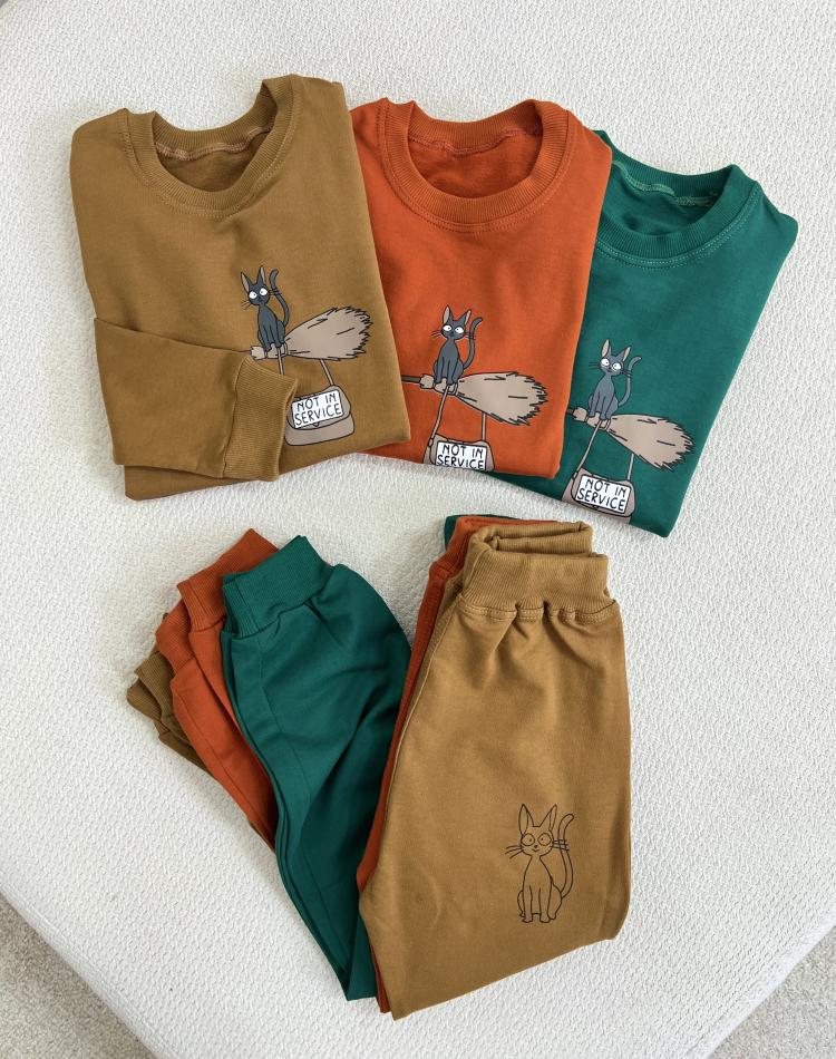 24641 ستCAT(6تا9سال)