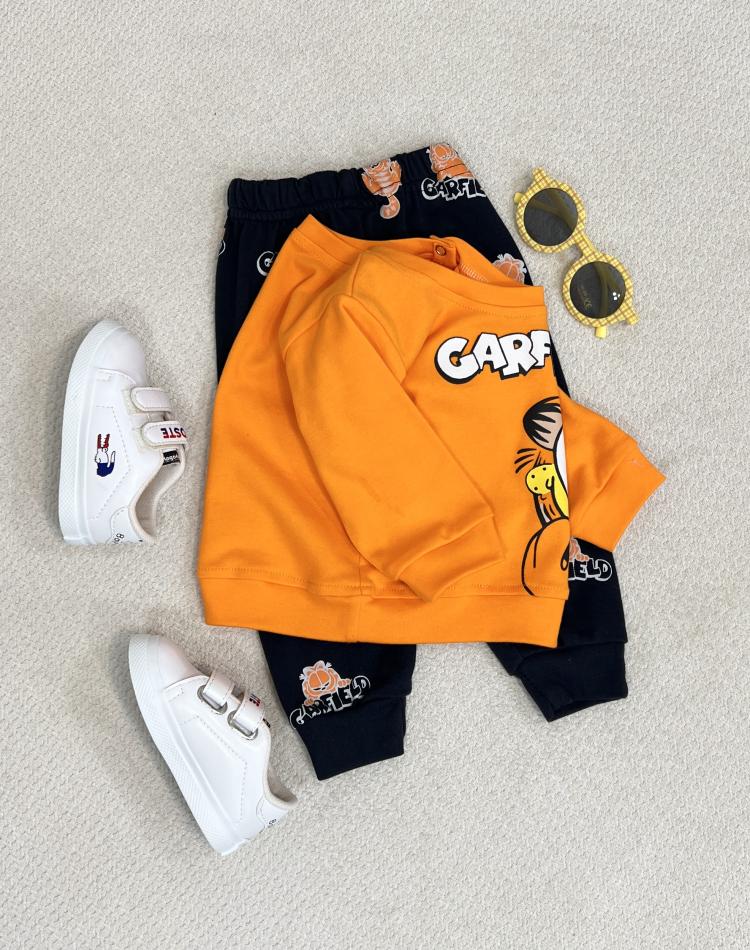 25003 ست گارفیلد(3ماه تا9ماهه)